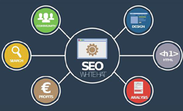 长沙网站SEO 优化  推广